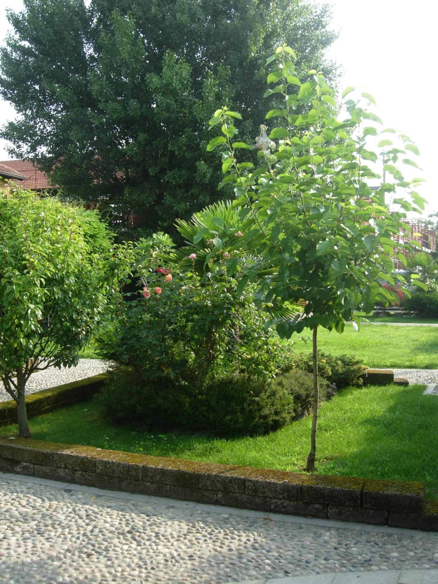Bed & Breakfast Il Pioppo E La Fonte