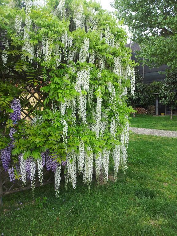 Bed & Breakfast Il Pioppo E La Fonte